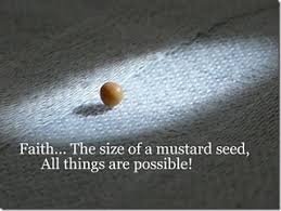 mustard seed